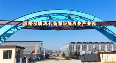 準格爾旗現(xiàn)代智慧設施農業(yè)產業(yè)園