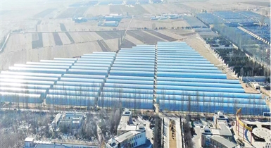 準格爾旗現(xiàn)代設施農業(yè)科技轉化示范園