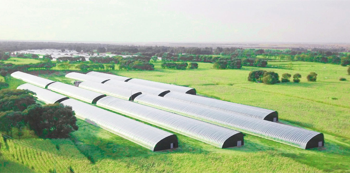 鄂爾多斯市準(zhǔn)格爾旗蓿亥圖高標(biāo)準(zhǔn)日光溫室示范基地_03.jpg 鄂爾多斯市準(zhǔn)格爾旗蓿亥圖高標(biāo)準(zhǔn)日光溫室示范基地_03.jpg