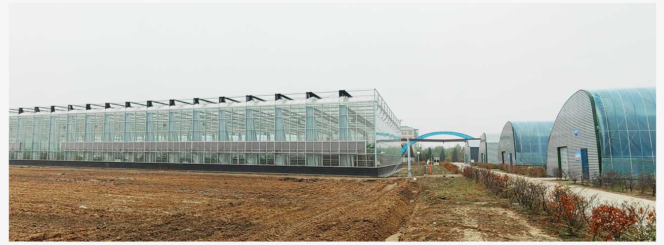 準格爾旗現代智慧設施農業產業園(網頁)_29.jpg 準格爾旗現代智慧設施農業產業園(網頁)_29.jpg