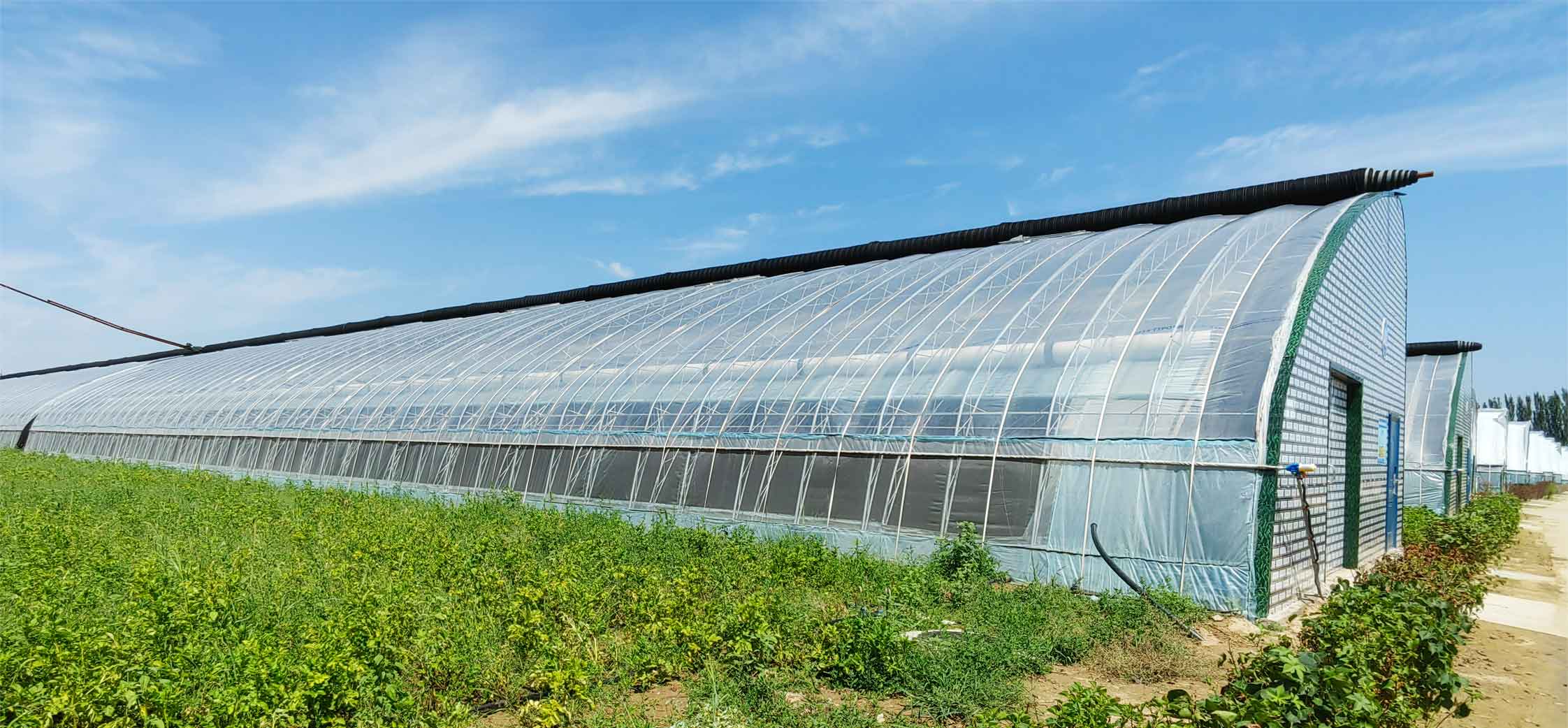 2、冬室夏棚網(wǎng)頁(yè)_09.jpg 2、冬室夏棚網(wǎng)頁(yè)_09.jpg