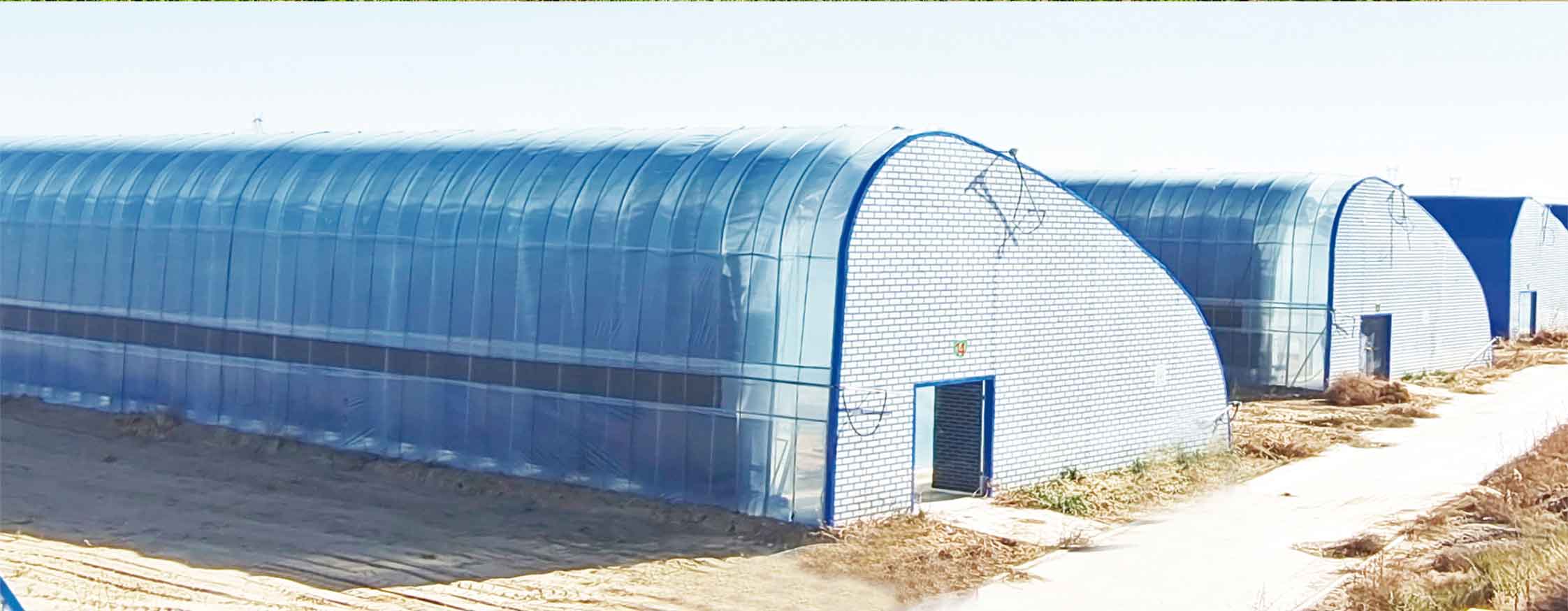 2、冬室夏棚網(wǎng)頁(yè)_10.jpg 2、冬室夏棚網(wǎng)頁(yè)_10.jpg