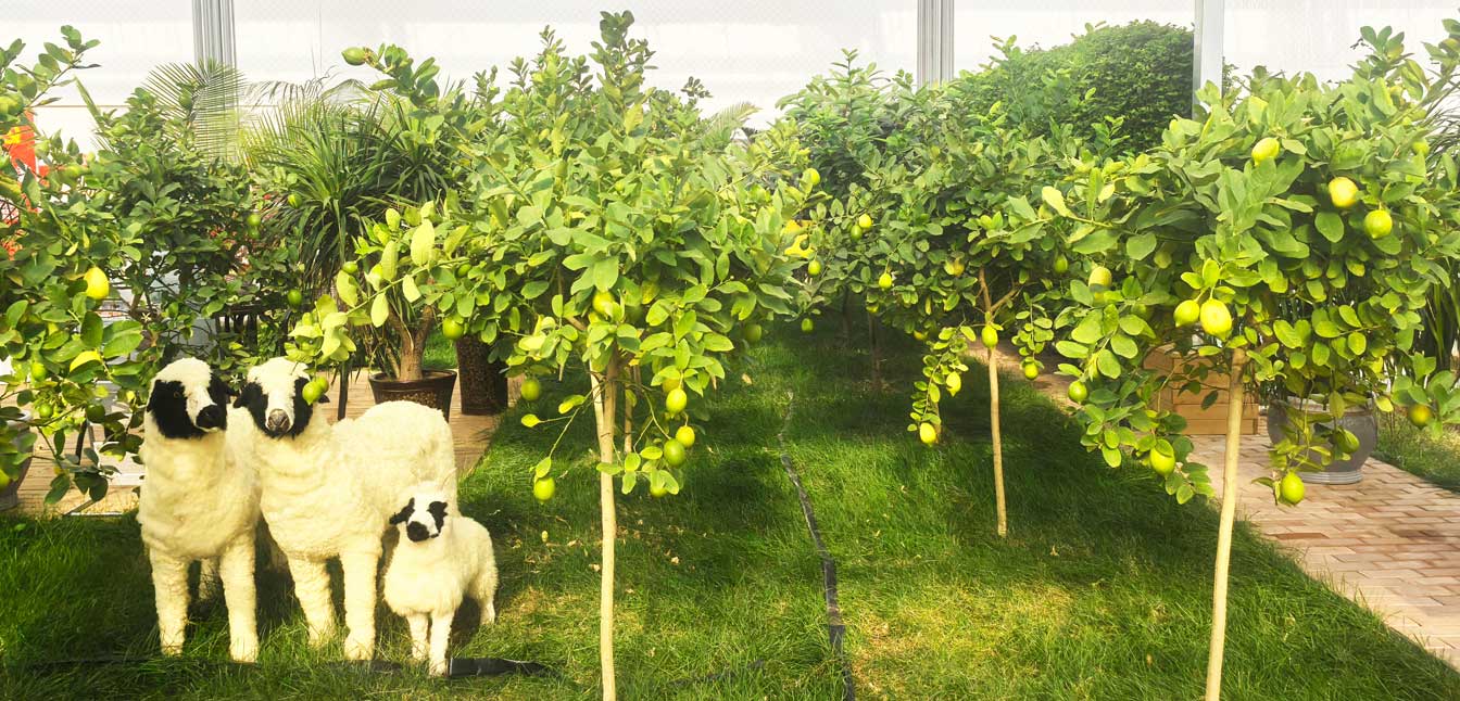 自治區綠色優質果蔬展銷中心psd-恢復的_13.jpg 自治區綠色優質果蔬展銷中心psd-恢復的_13.jpg