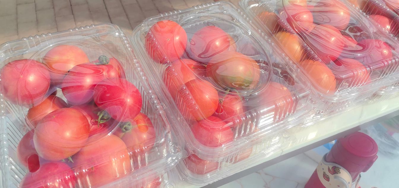 自治區綠色優質果蔬展銷中心psd-恢復的_17.jpg 自治區綠色優質果蔬展銷中心psd-恢復的_17.jpg